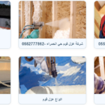 اهمية شركات المقاولات العامة ترميم منازل كشف تسربات المياه عزل اسطح