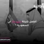 شركة سيو: كيف ترتقي بموقعك مع “دؤوب سيو” لخدمات تحسين محركات البحث؟